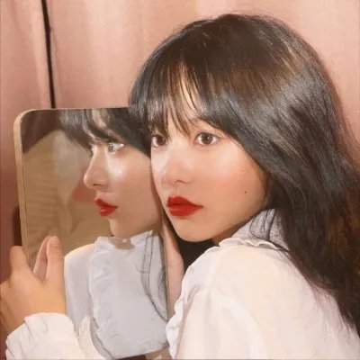观鸟者指导大全
